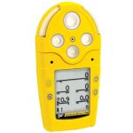 BW Technologies M5PID-XWQ0-R-P-D-Y-N-00